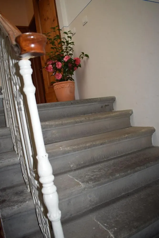 Hotel Dalmazia Florence Italie