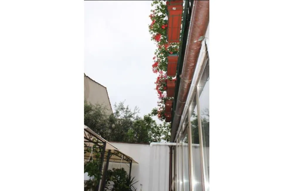Hotel Dalmazia Florence