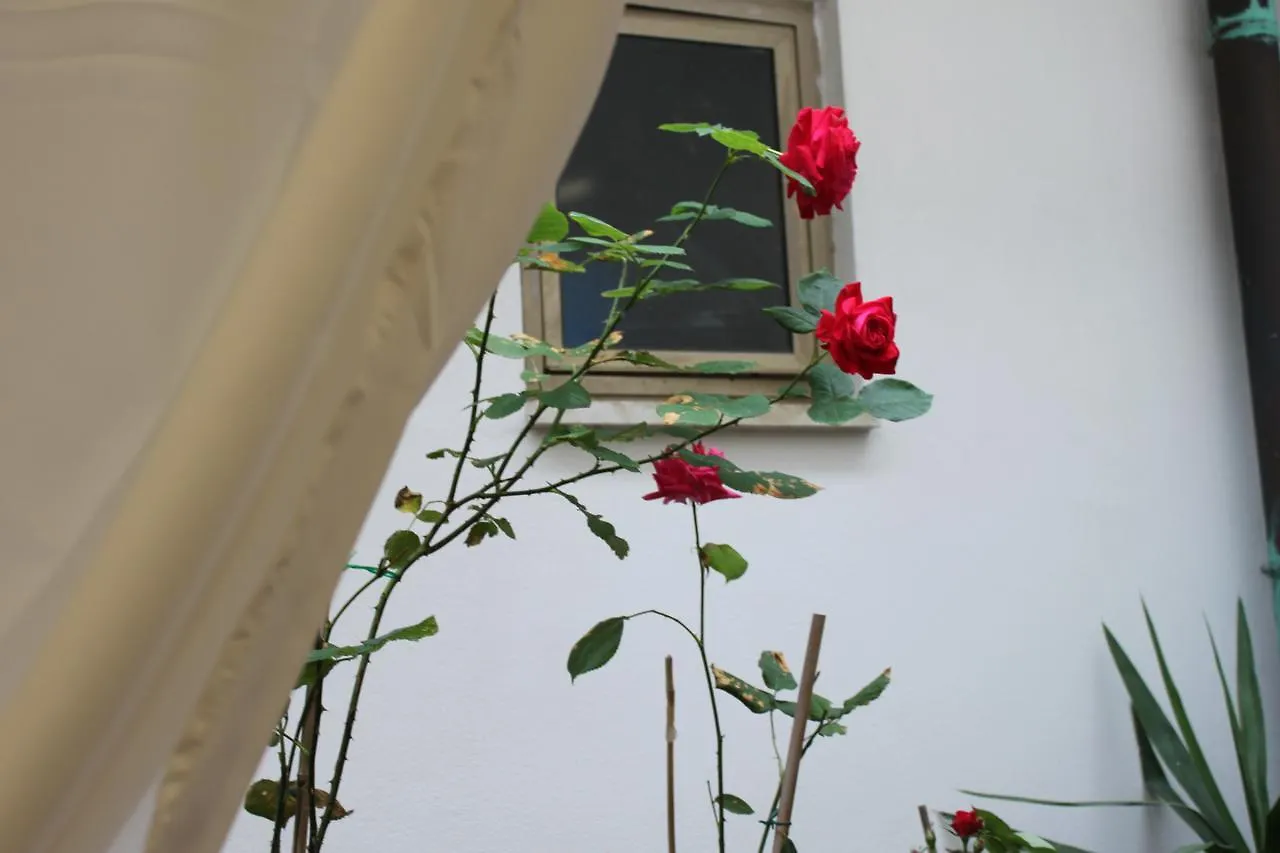 Hotel Dalmazia Florence